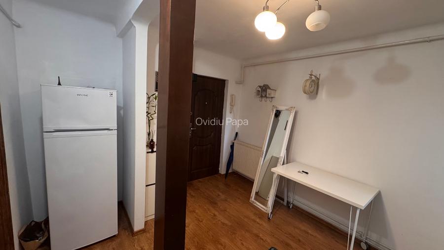 ultracentral, intim, trafic redus, gradina generoasa, proprietar - 4