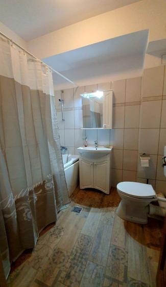 Iancu Nicolae: Duplex spatios cu 4 camere,compound aflat langa padure !