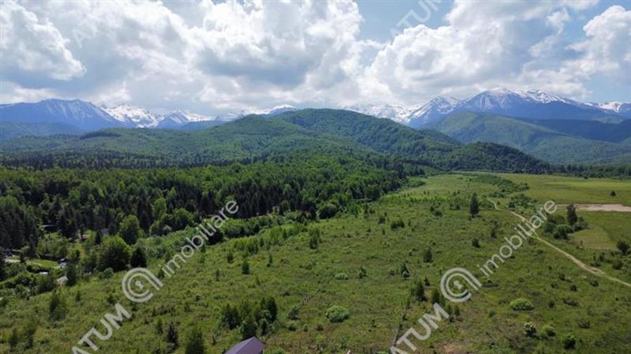 Teren Intravilan in Avrig zona Valea Avrigului 8900 metri