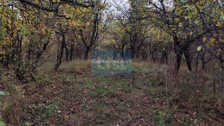 Vanzare sau Schimb! Central Drajna de Jos 5000 mp - 9