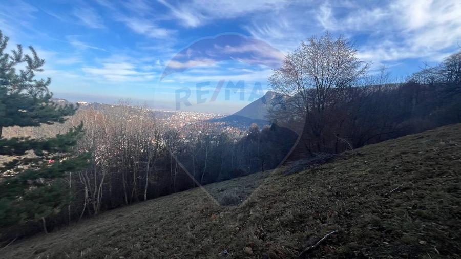 Teren Colinar Panoramic – 17.684 mp în Scheii Brașovului