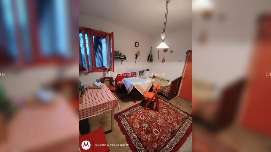 Casă în Beliș-Fântânele zona centrala, 80 mp, 2 camere, teren 800 mp - 3