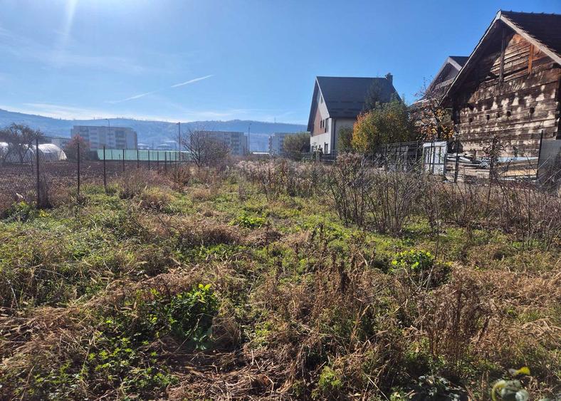 TEREN /CASA DE VANZARE , 1.580 , AVRAM IANCU