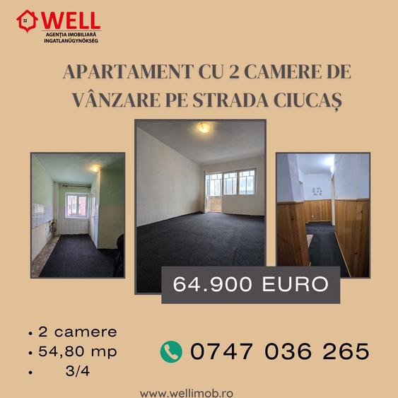Apartament cu 2 camere de vânzare pe strada Ciucaș
