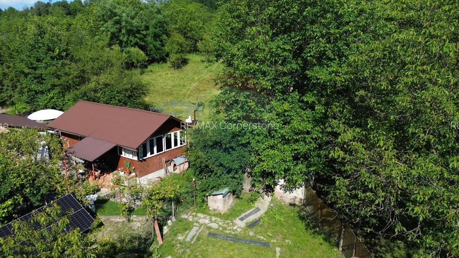 Casă de vânzare in natura la tara - Mihaesti - 10