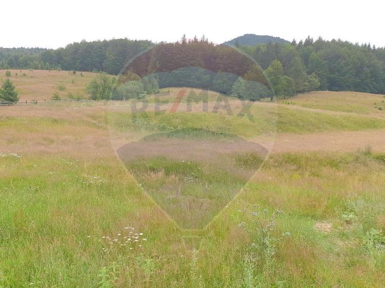 Teren 20000 mp, sat Dalghiu, com Vama Buzaului