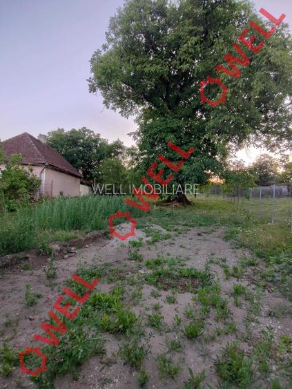 Teren intravilan de vânzare în Calnic! - 10