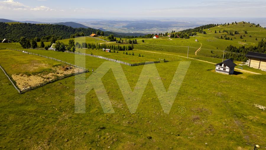 Teren 1003 mp în Păltiniș | Priveliște panoramică către munți