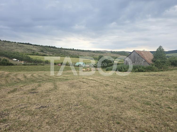 Teren de vanzare 8700 mp cu un front de 30m in Sura Mare - 4