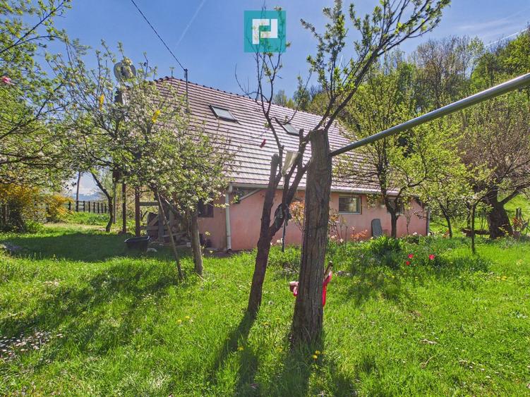 Casă Câmpani, 8000 mp teren, la poalele Apusenilor