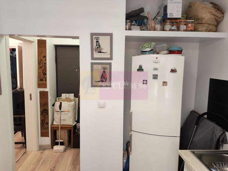 Foisorul de Foc-Mosilor, apartament de 2 camere - 9