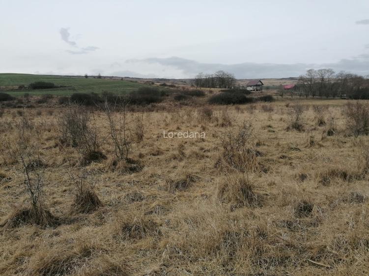 Teren agricol extravilan in Feiurdeni cu acces din Câmpenești. S=10300mp+2300mp - 3