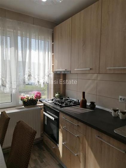 Apartament 2 Camere Alexandru cel Bun - Parcul Voievozilor - 11