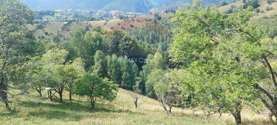 Teren de vânzare | Măgura, Brașov | Oportunitate de Investiție - 8