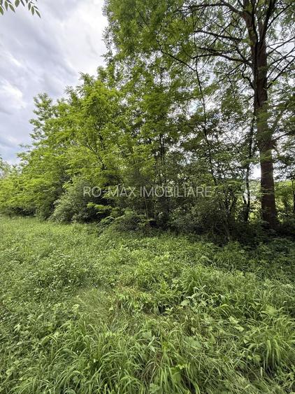Teren plat-intravilan -3800 mp, cu pădurice și ieșire la râu! - 30