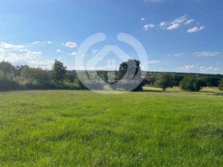 Teren intravilan constructii 6668 mp - Rasinari, Sibiu - 3