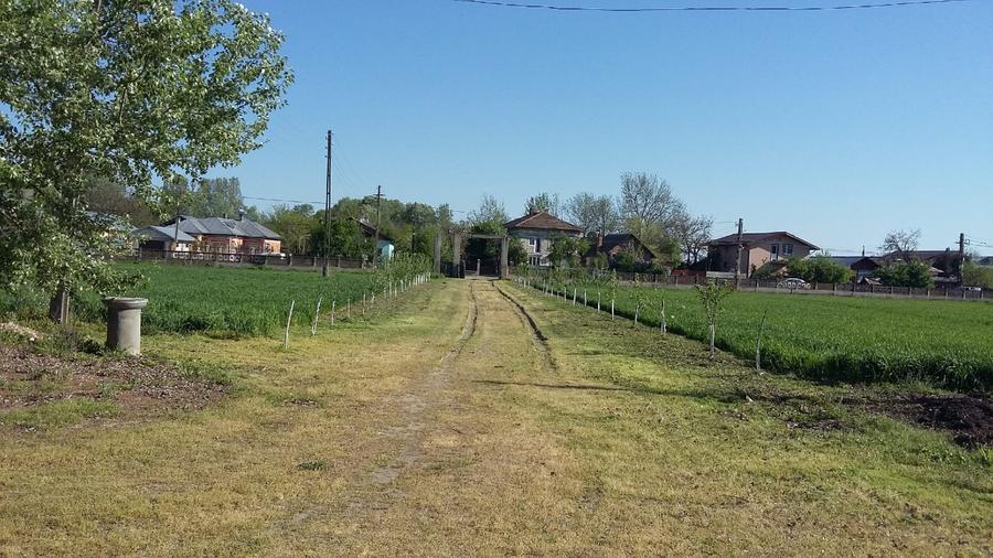 Teren intravilan 25255  m² - Central