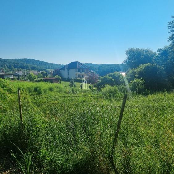 Teren Extravilan/Padure 90 000 Mp de Vanzare Zona Corunca/Acatari
