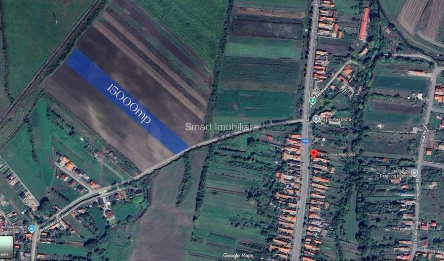 Teren Extravilan 15.000 mp Prejmer - 5