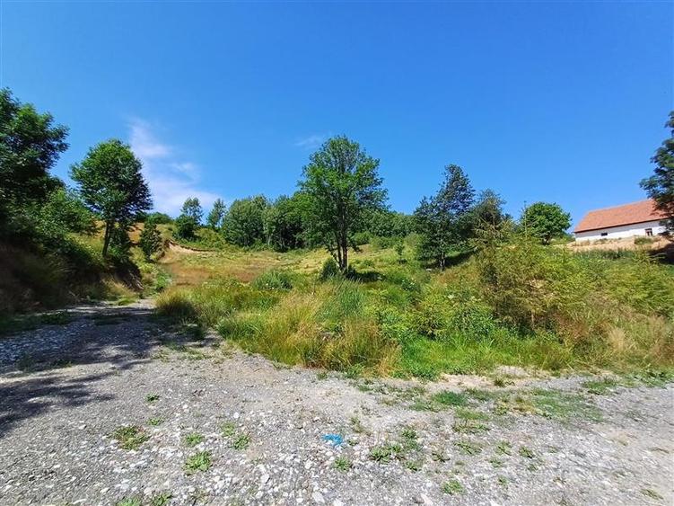 Teren Intravilan in zona Trei Ape, 6889 Mp., 14,5 Euro Mp., Brebu Nou
