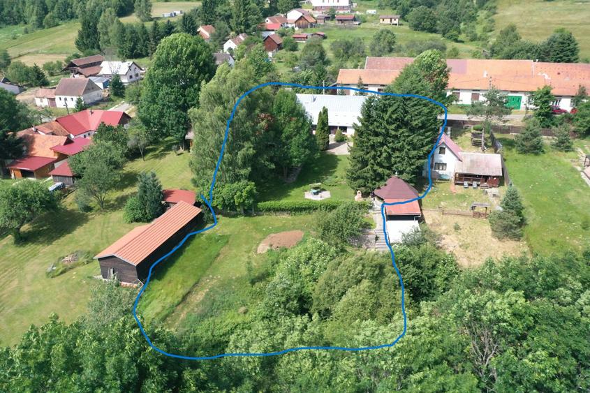 Proprietate de Vânzare în Brebu Nou-Ideală pentru Casă de Vacanță sau Investie
