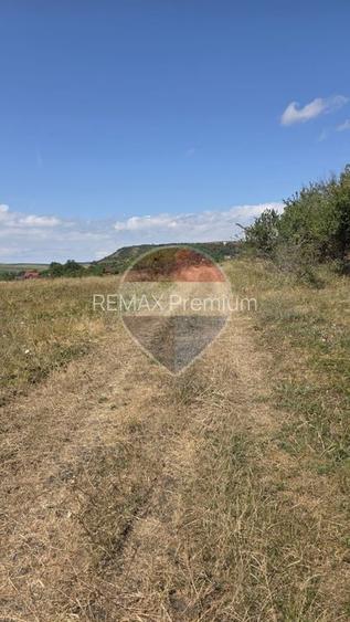 Teren intravilan de vanzare 843 mp – Chinteni - 7