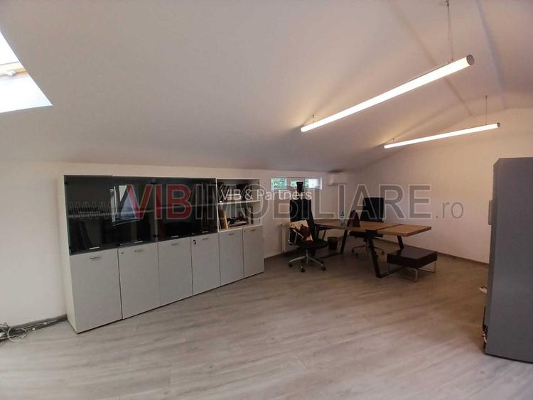Loft spatios la Cismigiu - 4