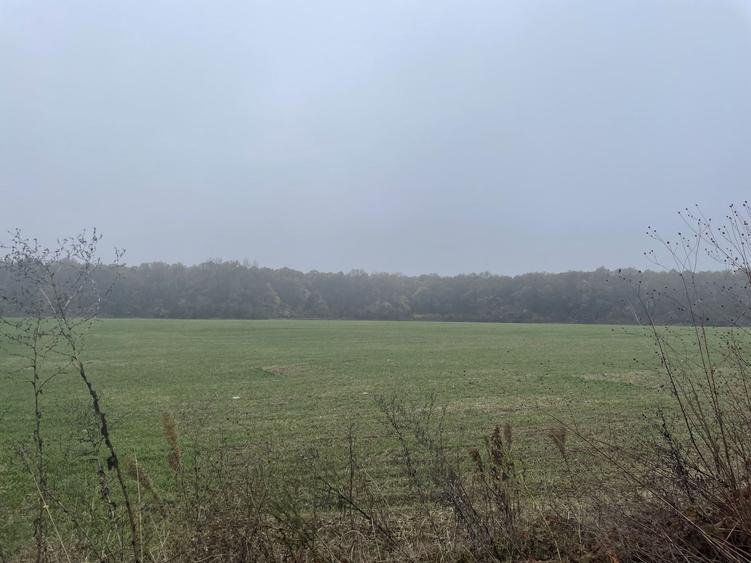 9400 mp | Ideal pentru investitie | Tunari | Deschidere la padure