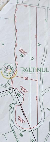 Teren de vânzare în Racovița, Sibiu – Valea Lupului