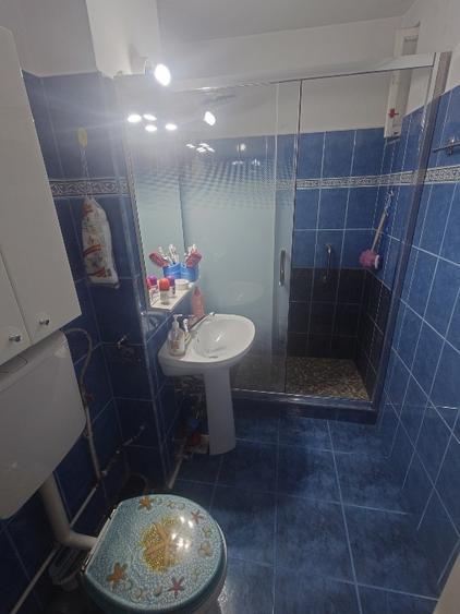 Apartament 4 Cam Splaiul Crișanei, Proprietar
