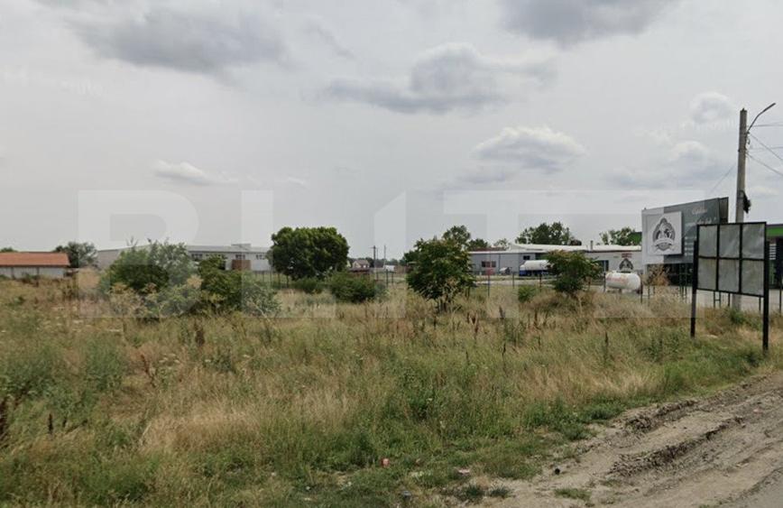Teren 3772 mp, deschidere 25m, acces E79, zona Iesire Craiova/Braniste