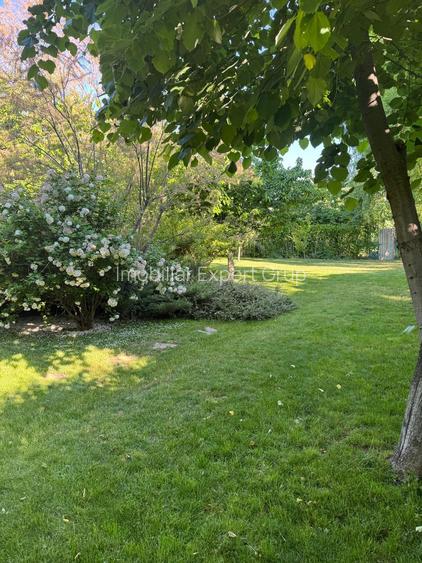 Zona Ghencea Sos Alexandriei Domeniu privat 2090mp cu piscina - 8