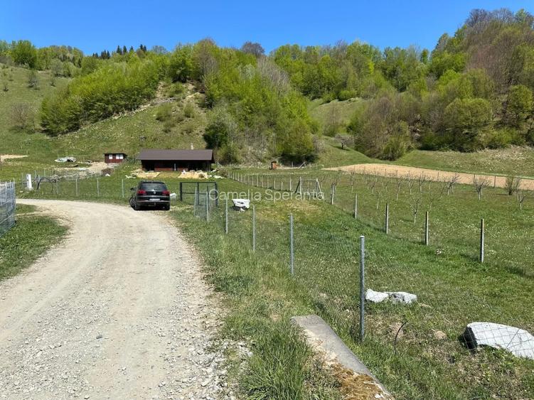 Mai mult decât o cabană - o stare de bine! - 8