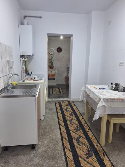 Delfinariu, 2 camere decomandate, gaze, 350 Euro termen lung