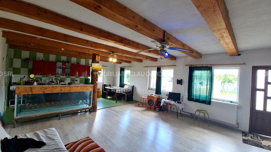 CASA DE VANZARE PODUL OLTULUI CU ACCES PRIVAT - 9