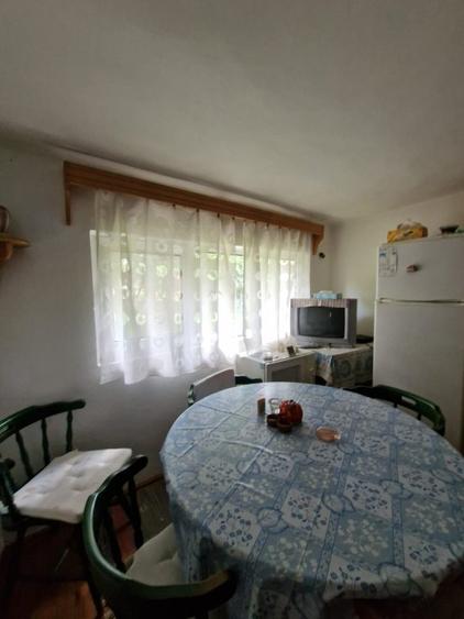 Balilesti - Stradal, casa spatioasa, 4600 mp teren intravilan - curte spatioasa