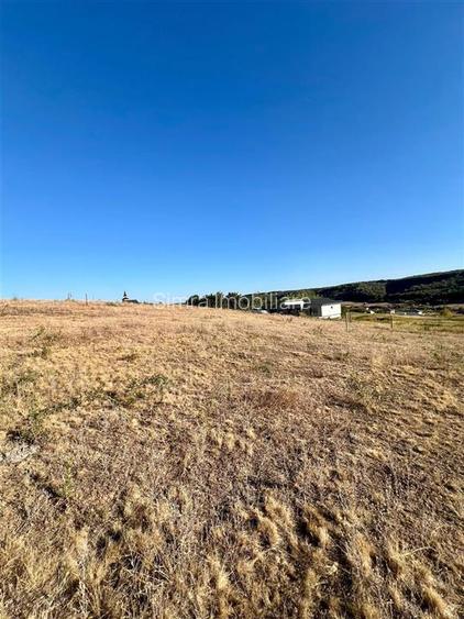 Teren de vanzare in Betfia - 3