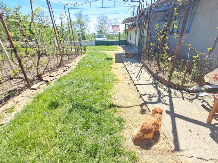 Valcani, proprietate cu casa taraneasca - 12