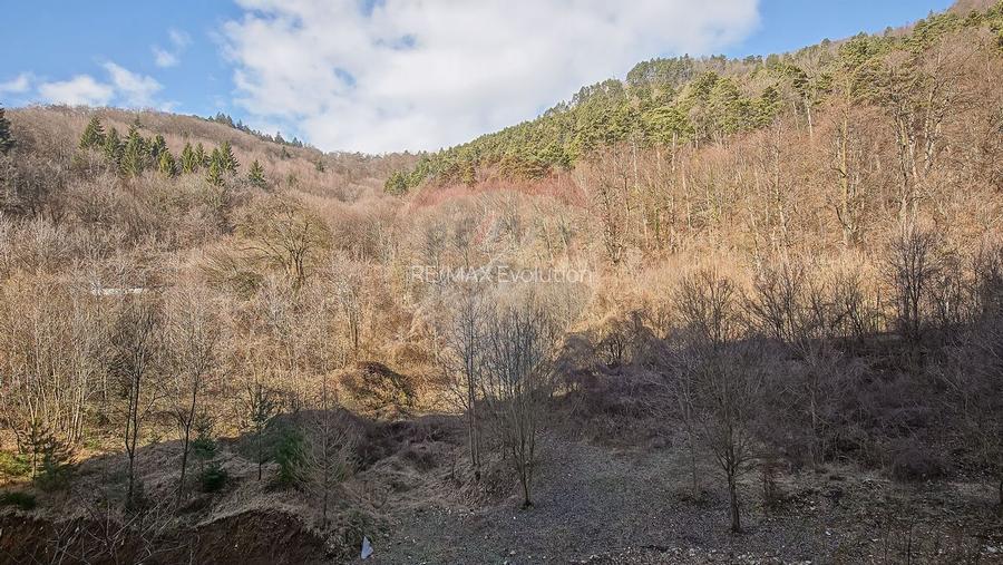 Apartament cu 2 camere Tampa Garden - 17