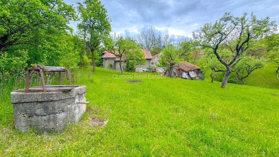 Teren 1500mp, intravilan cu utilitati, in proximitatea complexului Vila Bran - 2