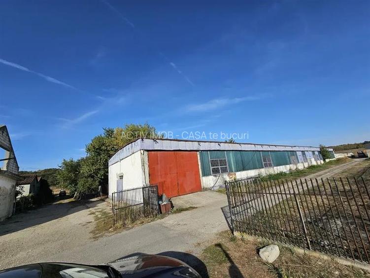 Hala industriala (1000 mp) si teren (4000 mp), Scornicesti, Trafo - 3