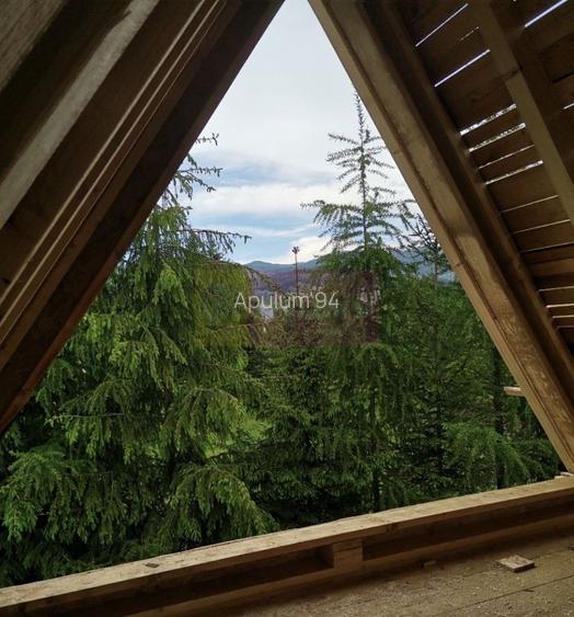 Vila A Frame de vanzare in Valea Doftanei - 3
