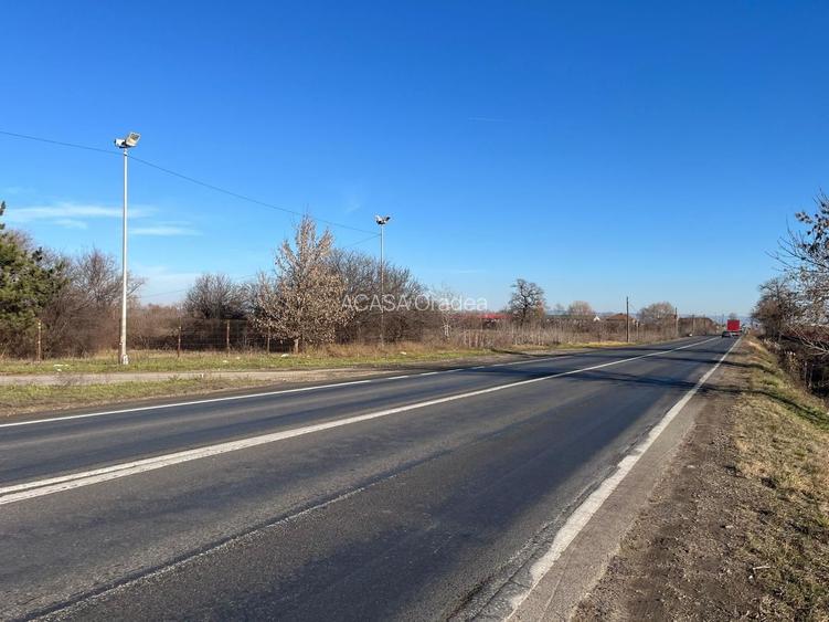 Teren intravilan, Săcădat, 27 921 mp. 9,5 Euro/mp. Comision 0. - 11
