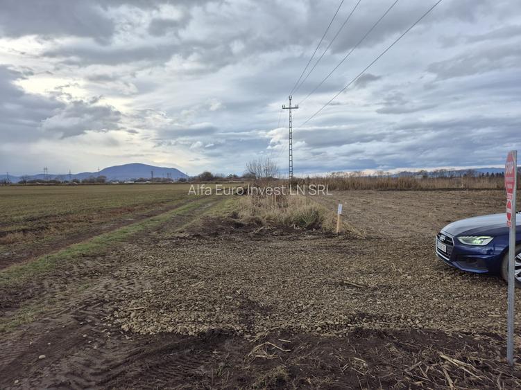 Teren intravilan 500mp in Brasov - 3