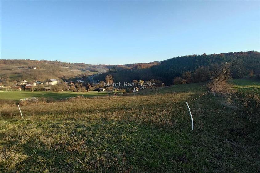 Terenuri extravilane in Luncoiu de Sus, Hunedoara - 6