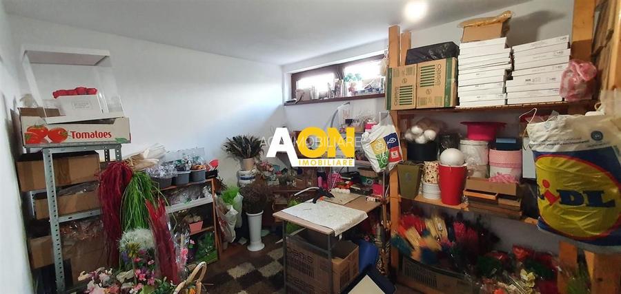 Casa parter+demisol, 1200 mp teren, pretabila pt 2 familii, Sard - 23