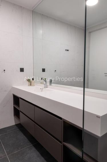 INCHIRIERE 2 CAMERE Herastrau - 7