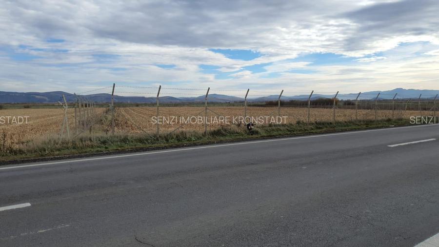 Teren cu PUZ industrial la DN 13 - 2