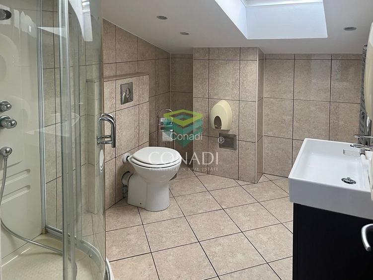 Vila Floreasca inchiriere - 11