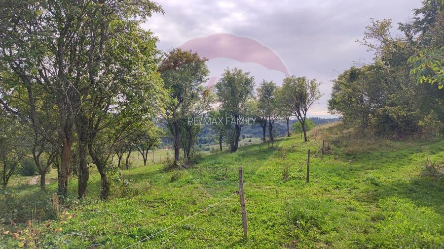 Teren constructii si faneata/livada 3082 mp Damis Bratca drum DJ 764D - 5